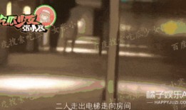 邢昭林狗仔爆料视频,揭秘娱乐圈不为人知的幕后真相